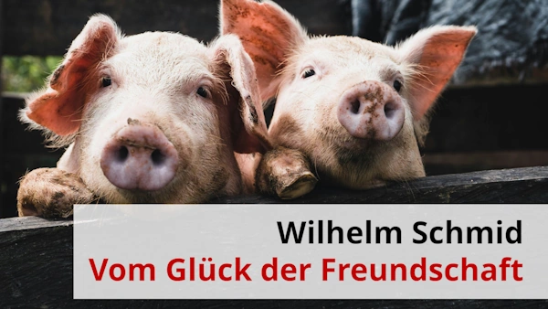 Wilhelm Schmid - Vom Glück der Freundschaft - Zusammenfassung. Foto: Kenneth Schipper Vera auf unsplash.com (bearbeitet)